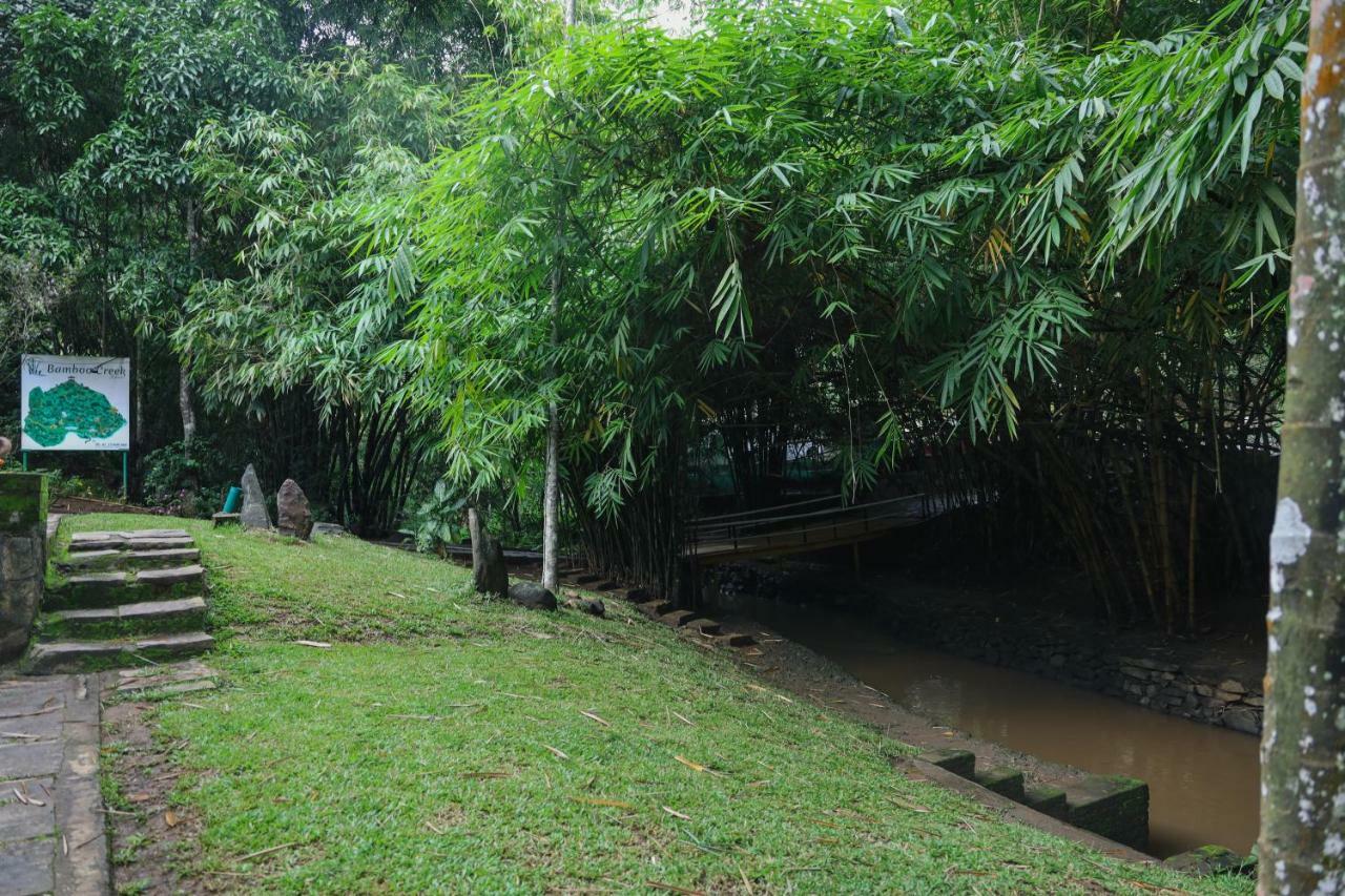 Bamboo Creek Resort Vaduvanchal Exterior foto